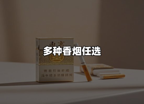 专业优势